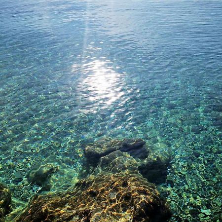 Apartments Ira Dubrovnik Dış mekan fotoğraf
