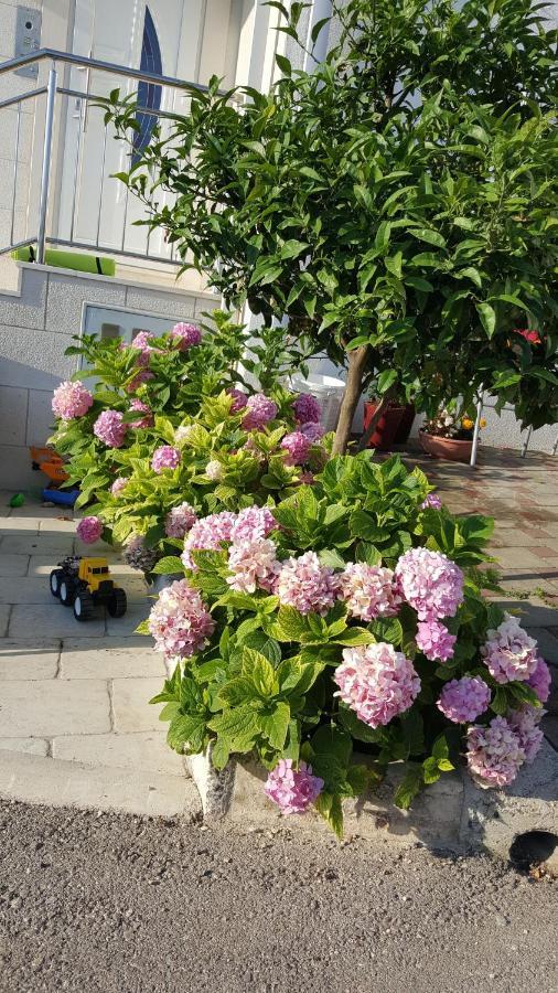 Apartments Ira Dubrovnik Dış mekan fotoğraf