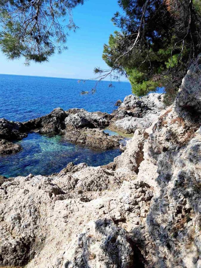 Apartments Ira Dubrovnik Dış mekan fotoğraf